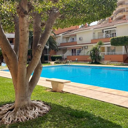 Apartamento PARADISE Solo Familias Gandía Exterior foto