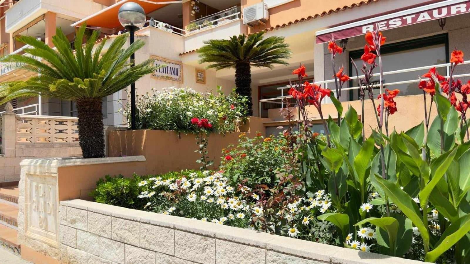 Apartamento PARADISE Solo Familias Gandía Exterior foto