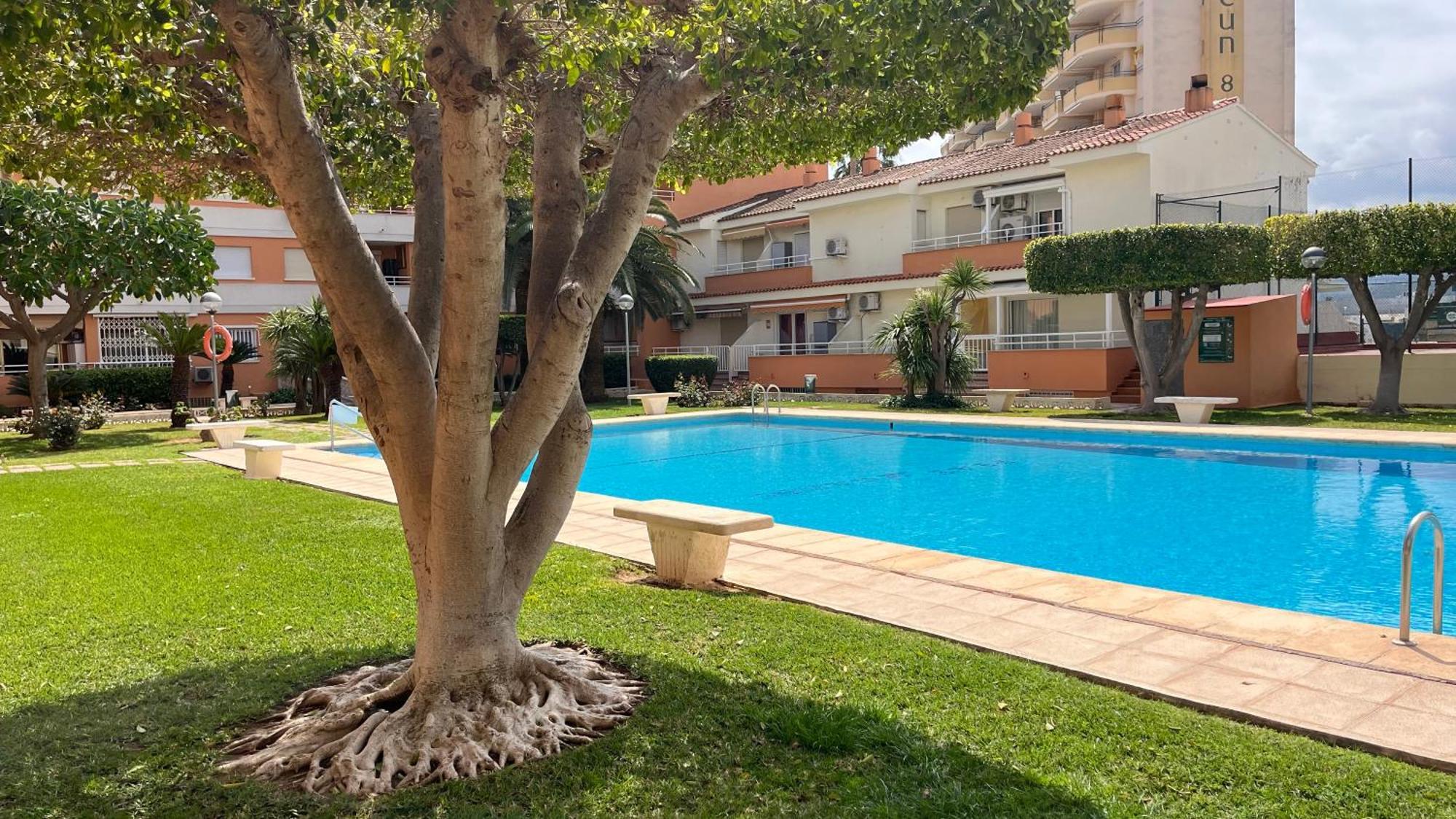 Apartamento PARADISE Solo Familias Gandía Exterior foto